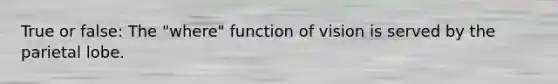 True or false: The "where" function of vision is served by the parietal lobe.