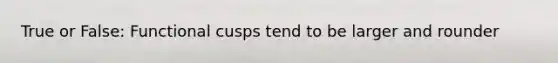 True or False: Functional cusps tend to be larger and rounder