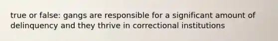 true or false: gangs are responsible for a significant amount of delinquency and they thrive in correctional institutions