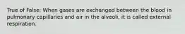 True of False: When gases are exchanged between the blood in pulmonary capillaries and air in the alveoli, it is called external respiration.