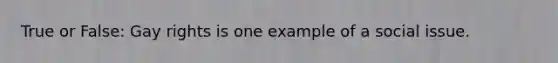 True or False: Gay rights is one example of a social issue.