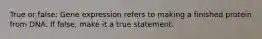 True or false: Gene expression refers to making a finished protein from DNA. If false, make it a true statement.