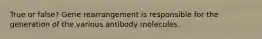 True or false? Gene rearrangement is responsible for the generation of the various antibody molecules.
