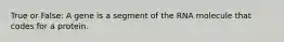 True or False: A gene is a segment of the RNA molecule that codes for a protein.