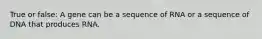 True or false: A gene can be a sequence of RNA or a sequence of DNA that produces RNA.