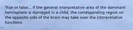 True or false... if the general interpretative area of the dominant hemisphere is damaged in a child, the corresponding region on the opposite side of the brain may take over the interpretative functions