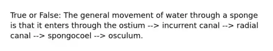 True or False: The general movement of water through a sponge is that it enters through the ostium --> incurrent canal --> radial canal --> spongocoel --> osculum.