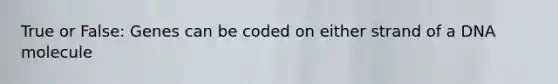 True or False: Genes can be coded on either strand of a DNA molecule