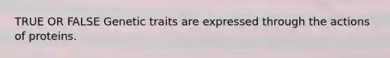 TRUE OR FALSE Genetic traits are expressed through the actions of proteins.