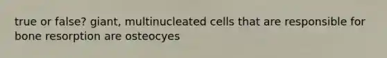 true or false? giant, multinucleated cells that are responsible for bone resorption are osteocyes