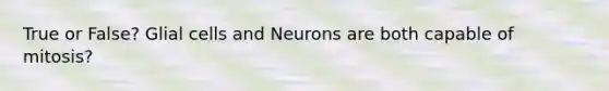 True or False? Glial cells and Neurons are both capable of mitosis?