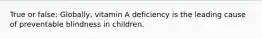 True or false: Globally, vitamin A deficiency is the leading cause of preventable blindness in children.