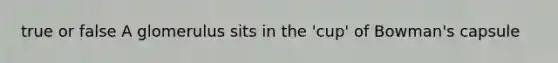 true or false A glomerulus sits in the 'cup' of Bowman's capsule