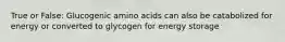 True or False: Glucogenic amino acids can also be catabolized for energy or converted to glycogen for energy storage