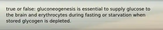 true or false: gluconeogenesis is essential to supply glucose to the brain and erythrocytes during fasting or starvation when stored glycogen is depleted.