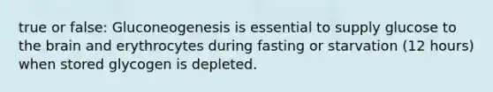 true or false: Gluconeogenesis is essential to supply glucose to the brain and erythrocytes during fasting or starvation (12 hours) when stored glycogen is depleted.