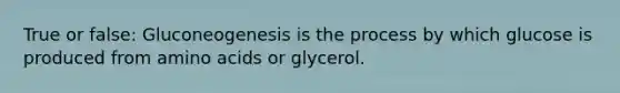 True or false: Gluconeogenesis is the process by which glucose is produced from amino acids or glycerol.