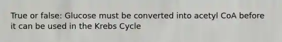 True or false: Glucose must be converted into acetyl CoA before it can be used in the Krebs Cycle