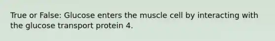 True or False: Glucose enters the muscle cell by interacting with the glucose transport protein 4.