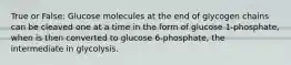 True or False: Glucose molecules at the end of glycogen chains can be cleaved one at a time in the form of glucose 1-phosphate, when is then converted to glucose 6-phosphate, the intermediate in glycolysis.