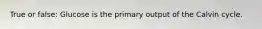 True or false: Glucose is the primary output of the Calvin cycle.