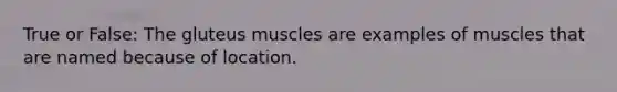 True or False: The gluteus muscles are examples of muscles that are named because of location.