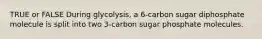 TRUE or FALSE During glycolysis, a 6-carbon sugar diphosphate molecule is split into two 3-carbon sugar phosphate molecules.