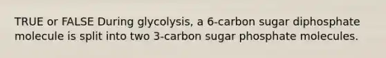 TRUE or FALSE During glycolysis, a 6-carbon sugar diphosphate molecule is split into two 3-carbon sugar phosphate molecules.