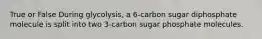 True or False During glycolysis, a 6-carbon sugar diphosphate molecule is split into two 3-carbon sugar phosphate molecules.