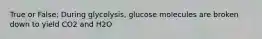 True or False; During glycolysis, glucose molecules are broken down to yield CO2 and H2O