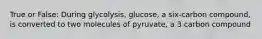 True or False: During glycolysis, glucose, a six-carbon compound, is converted to two molecules of pyruvate, a 3 carbon compound