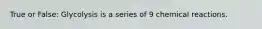 True or False: Glycolysis is a series of 9 chemical reactions.