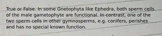 True or False. In some Gnetophyta like Ephedra, both sperm cells of the male gametophyte are functional. In contrast, one of the two sperm cells in other gymnosperms, e.g. conifers, perishes and has no special known function.