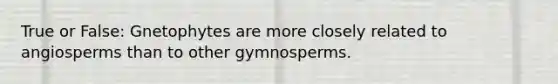 True or False: Gnetophytes are more closely related to angiosperms than to other gymnosperms.