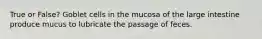 True or False? Goblet cells in the mucosa of the large intestine produce mucus to lubricate the passage of feces.