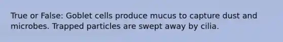 True or False: Goblet cells produce mucus to capture dust and microbes. Trapped particles are swept away by cilia.