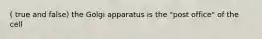 ( true and false) the Golgi apparatus is the "post office" of the cell