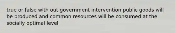 true or false with out government intervention public goods will be produced and common resources will be consumed at the socially optimal level