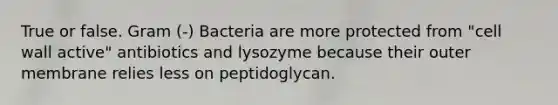 True or false. Gram (-) Bacteria are more protected from "cell wall active" antibiotics and lysozyme because their outer membrane relies less on peptidoglycan.