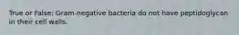 True or False: Gram-negative bacteria do not have peptidoglycan in their cell walls.