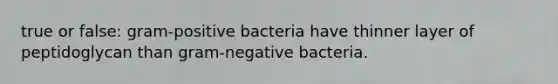 true or false: gram-positive bacteria have thinner layer of peptidoglycan than gram-negative bacteria.