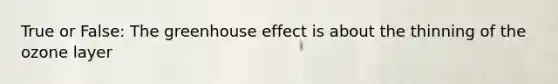 True or False: The <a href='https://www.questionai.com/knowledge/kSLZFxwGpF-greenhouse-effect' class='anchor-knowledge'>greenhouse effect</a> is about the thinning of the ozone layer