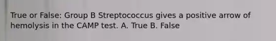 True or False: Group B Streptococcus gives a positive arrow of hemolysis in the CAMP test. A. True B. False