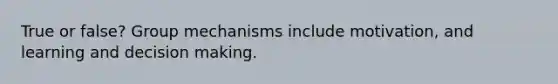 True or false? Group mechanisms include motivation, and learning and decision making.