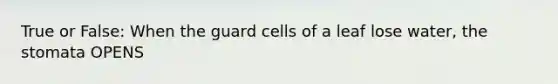 True or False: When the guard cells of a leaf lose water, the stomata OPENS