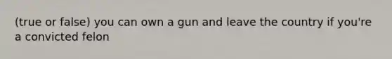 (true or false) you can own a gun and leave the country if you're a convicted felon