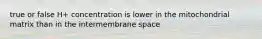 true or false H+ concentration is lower in the mitochondrial matrix than in the intermembrane space