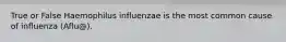 True or False Haemophilus influenzae is the most common cause of influenza (Aflu@).