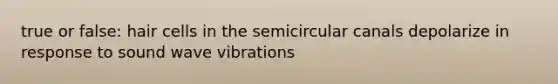 true or false: hair cells in the semicircular canals depolarize in response to sound wave vibrations