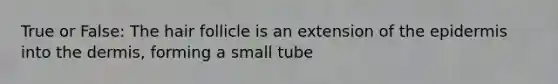 True or False: The hair follicle is an extension of the epidermis into the dermis, forming a small tube